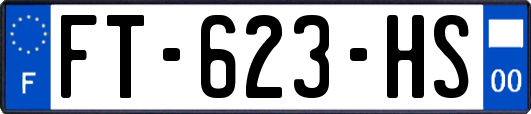 FT-623-HS