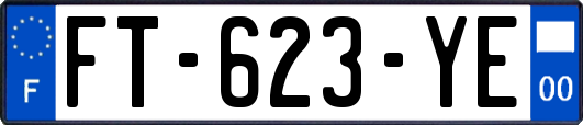 FT-623-YE