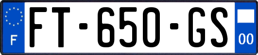 FT-650-GS