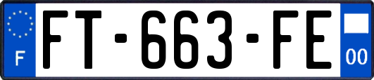FT-663-FE