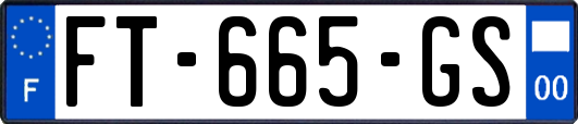 FT-665-GS