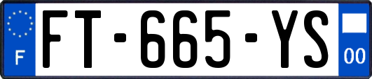 FT-665-YS
