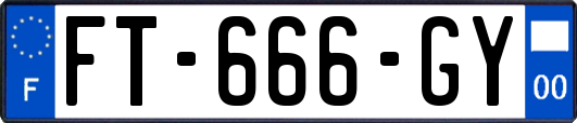 FT-666-GY