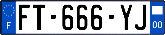 FT-666-YJ