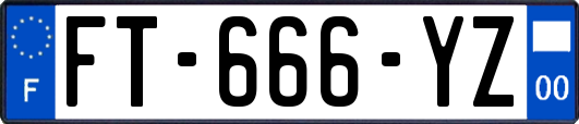 FT-666-YZ