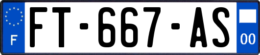 FT-667-AS