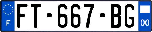 FT-667-BG