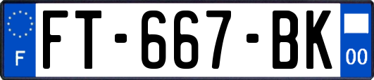 FT-667-BK