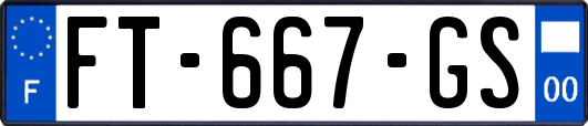 FT-667-GS