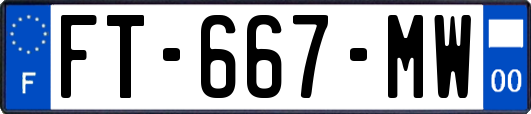 FT-667-MW