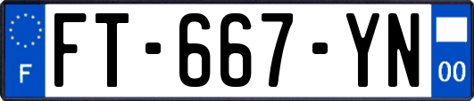 FT-667-YN