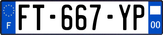 FT-667-YP