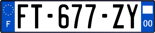 FT-677-ZY