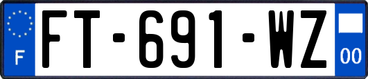 FT-691-WZ