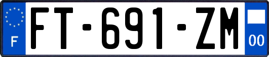 FT-691-ZM