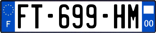 FT-699-HM