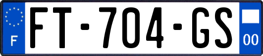 FT-704-GS
