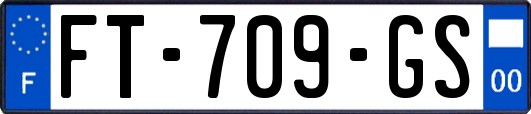 FT-709-GS