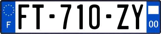 FT-710-ZY