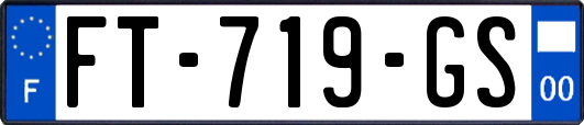 FT-719-GS
