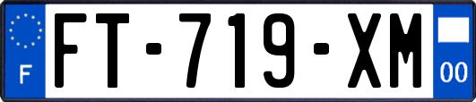 FT-719-XM