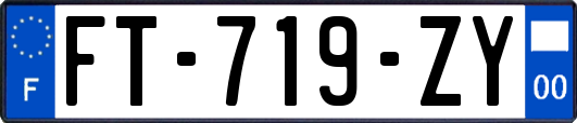 FT-719-ZY