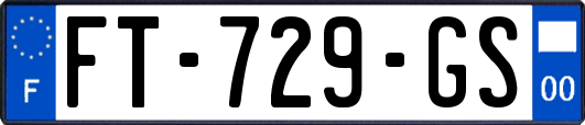 FT-729-GS