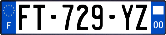 FT-729-YZ