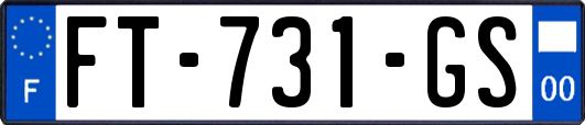 FT-731-GS