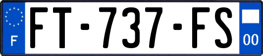 FT-737-FS