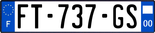 FT-737-GS