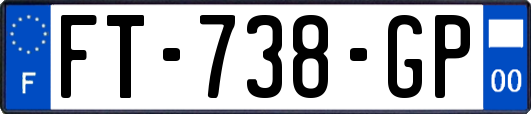 FT-738-GP