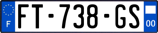 FT-738-GS