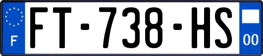FT-738-HS