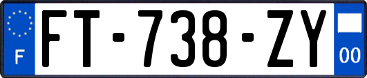 FT-738-ZY