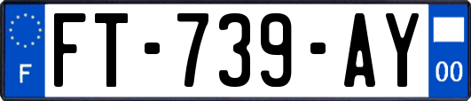 FT-739-AY