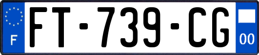 FT-739-CG