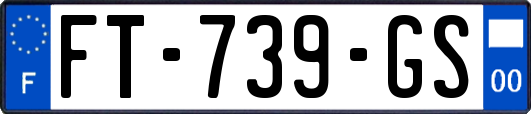FT-739-GS