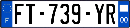 FT-739-YR