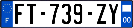 FT-739-ZY