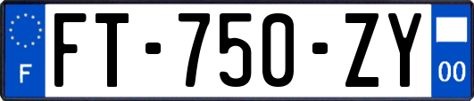 FT-750-ZY