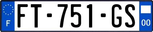 FT-751-GS