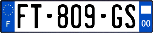 FT-809-GS