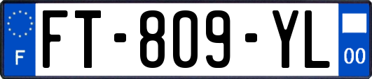 FT-809-YL
