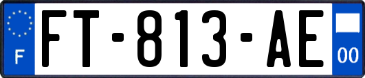 FT-813-AE