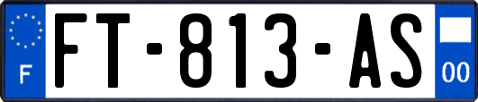 FT-813-AS