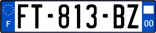 FT-813-BZ