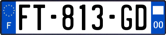 FT-813-GD