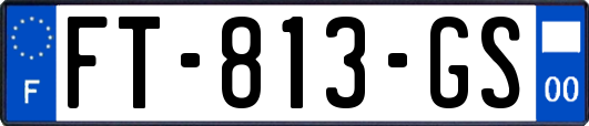 FT-813-GS