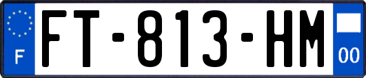 FT-813-HM